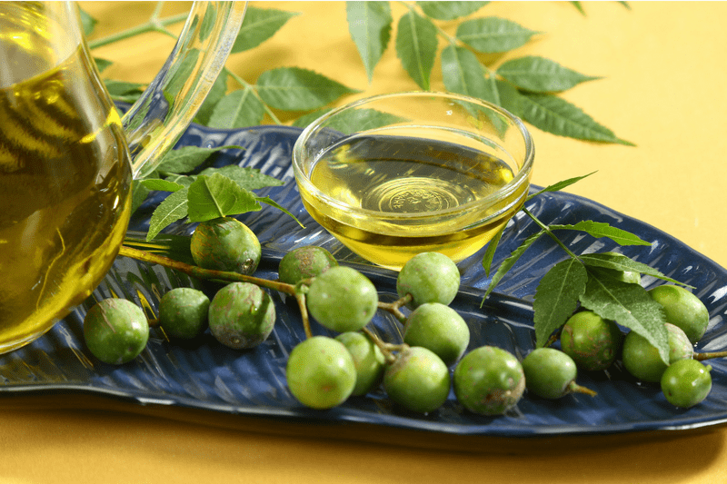 Neem Leaves and Neem Water